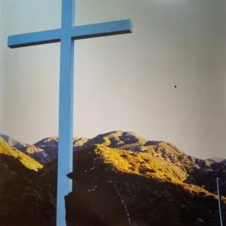 JPEGMAFIA - JPEGMAFIA - I Lay Down My Life For You (Director’s Cut) 2xLP vinyl record cover