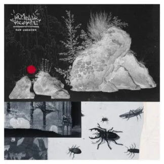 Spectacular Diagnostics - Spectacular Diagnostics - Raw Unknown LP vinyl record cover