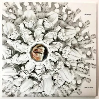 Boldy James / Sterling Toles - Boldy James / Sterling Toles - Manger On McNichols LP vinyl record cover