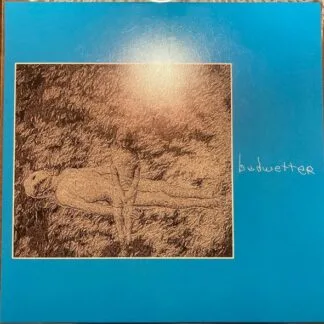 Bedwetter (3) - Bedwetter (3) - Volume 1: Flick Your Tongue Against Your Teeth And Describe The Present LP vinyl record cover